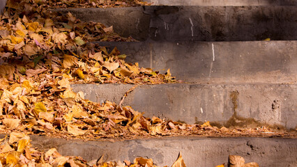 Autumn desktop wallpaper with stairs with dry yellow autumn fallen leaves. The concept of decline and blues. Autumn depression and loneliness