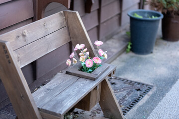의자 위에 작은 꽃들, small flowers on the chair