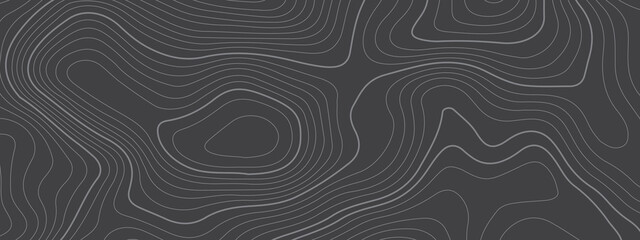 Black and white wave abstract topographic map contour, lines Pattern background. Topographic map and landscape terrain texture grid. Wavy banner and color geometric form. Vector illustration.