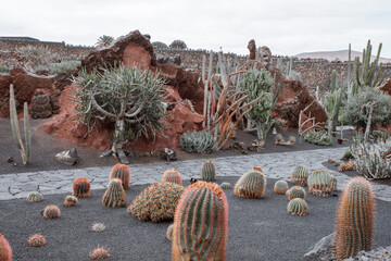 Fototapeta na wymiar jardin des cactus Lanzarote