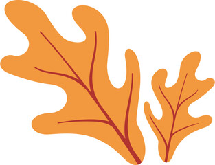 Obraz premium Autumn Leaves