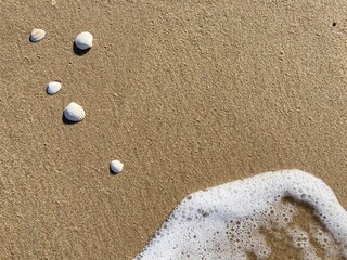 a foamy wave on the sand of the north sea beach