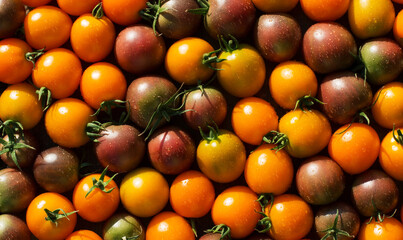 A group of fresh, bright, ripe tomatoes. Small fruits of red and yellow color. Vegetarianism. Wallpaper.