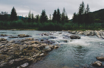 mountain river between sheer cliffs . blue clear water of the river. Young green leaves of trees