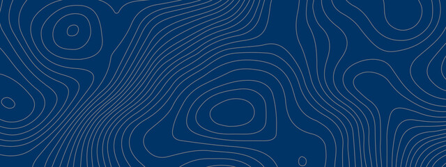 The stylized colorful blue and white wavy abstract topographic map contour, lines Pattern background. Topographic map and landscape terrain texture grid. Wavy banner and color geometric form. 