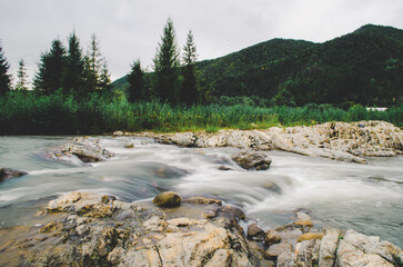 mountain river between sheer cliffs . blue clear water of the river. Young green leaves of trees