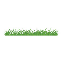 Fototapeta premium Green Grass Isolated on White Background,flowers