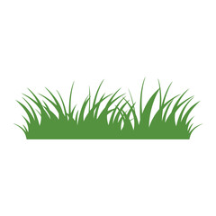 Fototapeta premium Green Grass Isolated on White Background,flowers