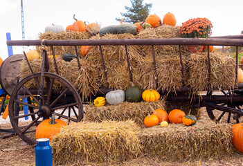 Wooden vintage wagon filled with hay among orange pumpkins on an autumn farm. halloween. Autumn vegetables. Rural life. Thanksgiving Day © capable97