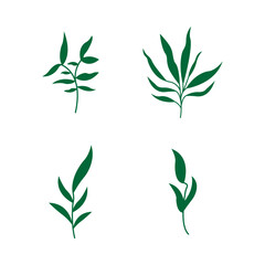 Set with leaves. Botanical illustration. Vector design elements.
