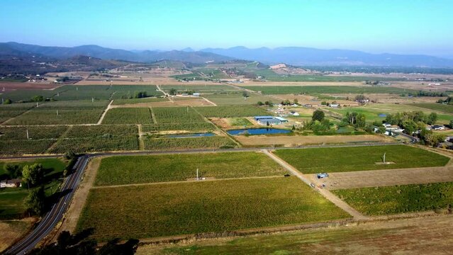 Flying over pear orchards at the start of Fall.  2022-05-10, Medford, Oregon, USA