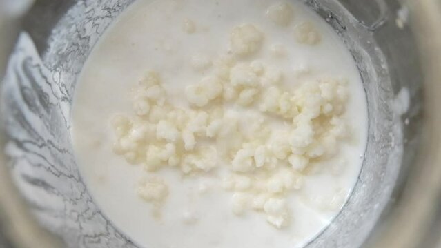 Milk Kefir in a glass jar with organic cows milk