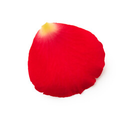 Red rose petal isolated on white background