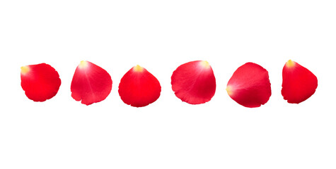 Red rose petal isolated on white background