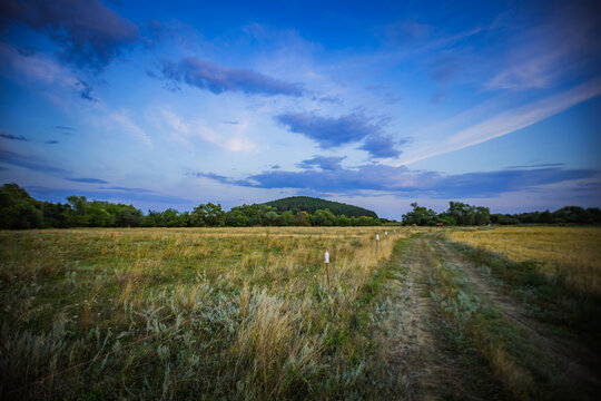 summer landscape in rural areas