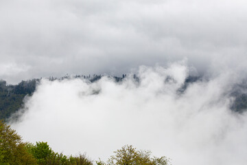 Spring green mountains in clouds and fog. The concept is to be above the clouds.