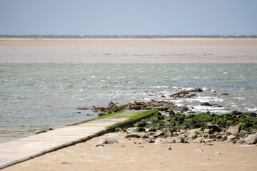 Sandbank vor Borkum