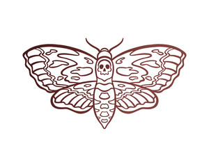 Mystical death's head hawkmoth. Bohemian death moth with skull