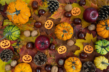 Small Halloween decorations flat lay composition, with decorative autumn pumpkins, apples, cones, walnuts and chestnuts on fall leaves. 