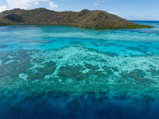 Fototapeta premium A healthy coral reef thrives off the Pulau Besar north of Flores, Indonesia. This region is known for its high marine biodiversity and spectacular scuba diving and snorkeling.