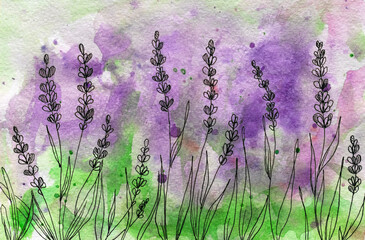 Obraz premium drawing watercolor flowers on a white background..impressionistic style, botany painting, bright colors. Artistic background. Card. Flower card. Spring flowers.