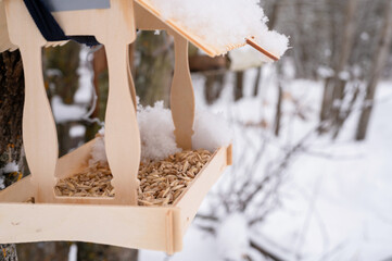 wooden feeder for wild forest birds with food hanging on tree covered with fresh icy frozen snow and snowflakes on frosty winter day in forest or garden. animal care. snowy winter season in nature