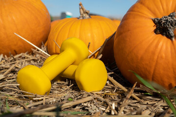 Yellow dumbbells on the hay and pumpkins in background. Healthy fitness lifestyle autumn fall composition for Halloween or Thanksgiving. Gym workout and sport training concept on a pumpkin patch farm. © Longfin Media