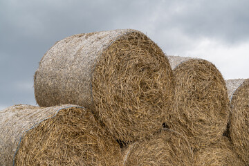 Stack of hay bales (hay balls, haycock or haystack) on a farm field, against cloudy sky. Straw bales on agriculture field. Rural farm land nature, countryside after harvest.
