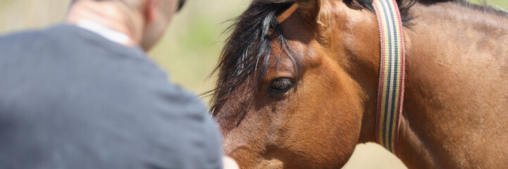 A man, viewed from the back, strokes the brown muzzle of a horse