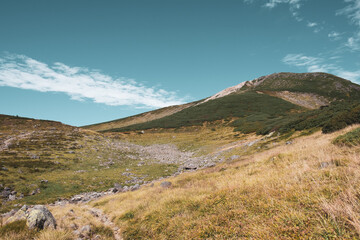 美しい山の風景