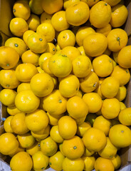 Fruits in a street market - lemons.