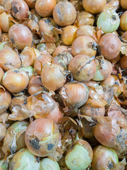 Vegetables in a supermarket. Onion.
