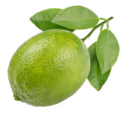 Citrus Lime with green leaf on white background, Fresh lime and slice on white PNG file.