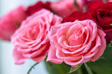 バラの花