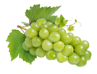 Shine Muscat Grape isolated on white background, Green grape with leaves on white PNG file.