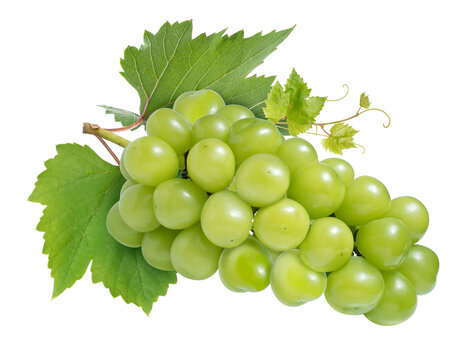 Shine Muscat Grape isolated on white background, Green grape with leaves on white PNG file.