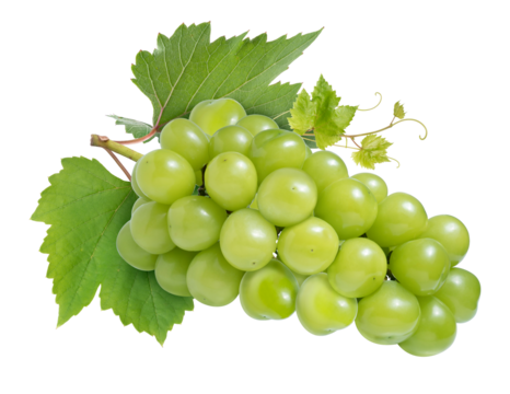 Shine Muscat Grape isolated on white background, Green grape with leaves on white PNG file.