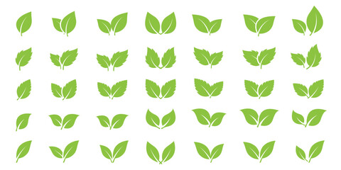 Green leaves icons set. Leafs different shapes. Eco, bio, organic, vegetarian design element. Nature symbols isolated on white background.  Vector illustration.
