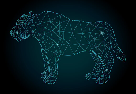 Cosmic low poly art with wild cat silhouette