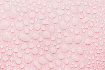 Water drops on soft light pink background as sweet fresh gentle trendy color pattern with shiny round drops, top view.