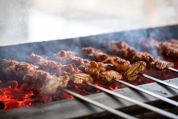 delicious turkish kebabs, adana wrap, chicken shish, chicken wings, liver shish, eggplant kebab and mixed grill