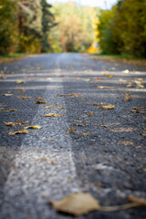 Asphalt road with autumn leaves. Background for postcards autumn walk.