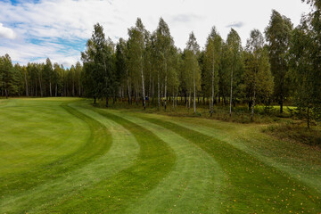 Green field against the background of forest and a blue sky