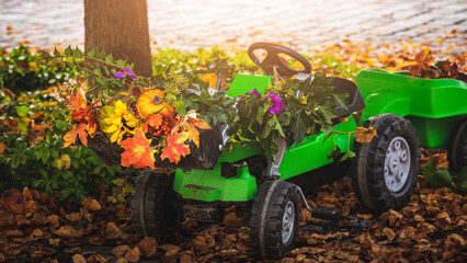 Toy tractor is carrying autumn decoration, vegetables and fall leafs and flowers - decoration for...