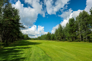Green field against the background of forest and a blue sky