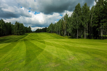 Green field against the background of forest and a blue sky