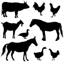 Farm animals silhouettes. Collection of domestic cattle illustration set isolated on white.
