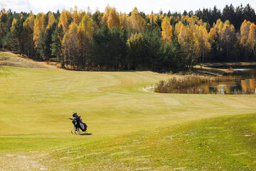 Obraz premium Green field against the background of forest and a blue sky