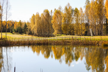 Green field against the background of forest and a blue sky