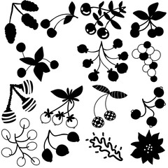 A set of various berries and flowers. Black silhouettes of fruits and flowers on a white background.